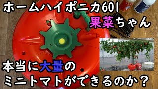 協和ハイポニカ ホームハイポニカ 601 果菜ちゃん 水耕栽培キットを購入してみた。