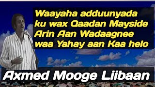 Axmed Mooge waayaha aduunyada | axmed mooge heesta waayaha aduunyada | hees waa Yahay aan kaa helo Resimi