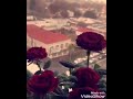 ضاع القلب