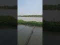 ဘုရားဖူး