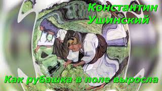 Как рубашка в поле выросла. К. Ушинский.