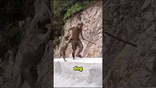 Dogs and Outdoor walks. #dogs #funny #shorts #animals