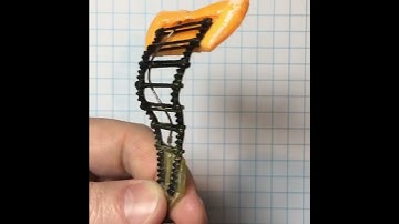 #robotic #fish #tail #locomotion #enginnering #project #technology #demonstration