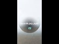 الضباب يقتل 20 شخصا
