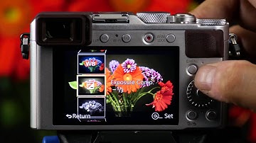 Panasonic - LUMIX Point and Shoot - DMC-LX100 - How to use Raw Processing in Camera.