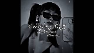 Ma Jawani Da Paharha Slowed Reverb