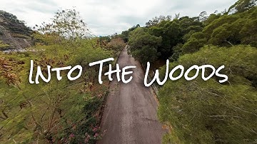 Into the woods | GepRC CineLog30 V3 | DJI Air Unit O4 Pro | Cinematic FPV | 4K
