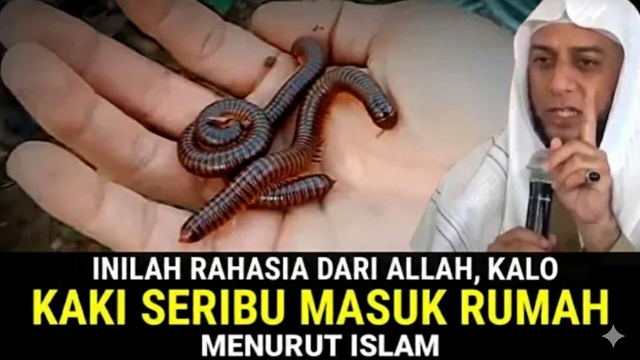 MERINDING  !! Ini 10 Pertanda Jika Ada Kaki Seribu Masuk Rumah Menurut Islam