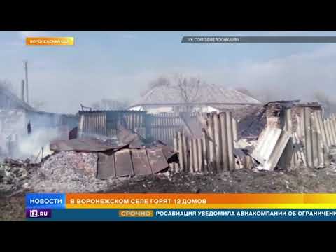 В селе под Воронежем загорелись сразу 12 домов