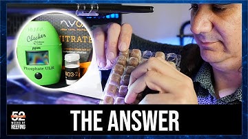 We Want Answers to Phosphate & Nitrate in Reef Tanks. Can Our Approach to Nutrients End the Debate?