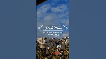 قران كريم  #قران_كريم #مسلم