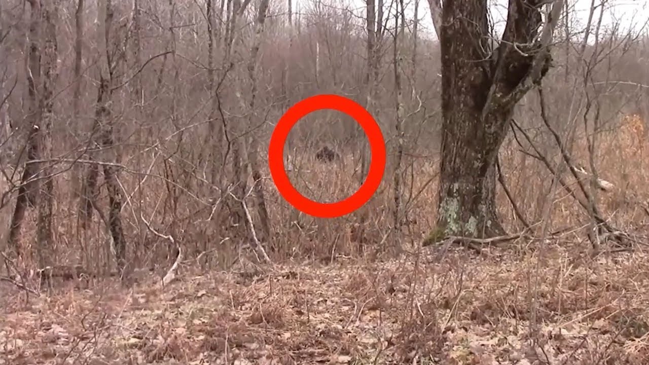 Creepy Clips to Send Shivers Down Your Spine Before Bed YouTube