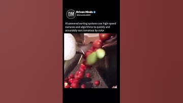 AI Powered Tomato Sorting Machine🔥🔥