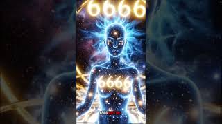 Angel Number 6666 | #numerology #angelnumber #angelnumbers #angelnumber6666
