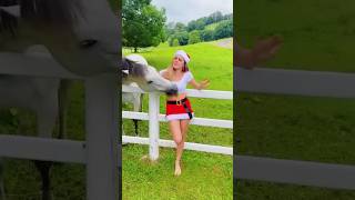 Horse Attack On Owner