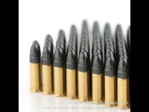 22lr ის რეალური შესაძლებლობები