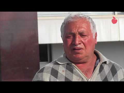 69-წლის აძველი ელდარ გუნდიშვილი ცხინვალიდან გაათავისუფლეს