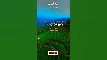 تلاوة خاشعة قرأن كريم راحة نفسية #تلاوة #elmulquranعلم #اكسبلور #المصحف #قران_كريم #trend