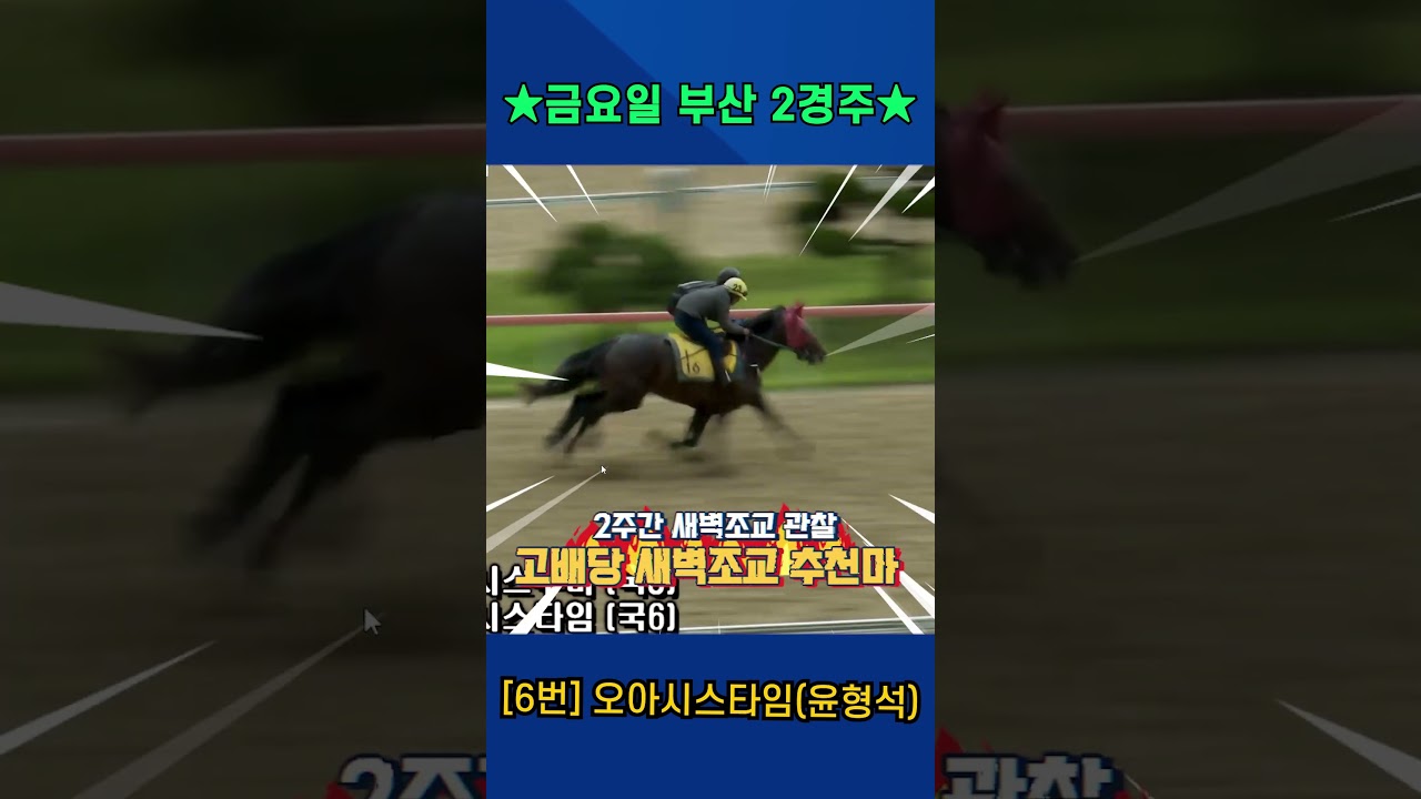 6월26일 금요일 부산 2경주!! 2주간 훈련보인 강백호의 새벽조교 쏘스마!!