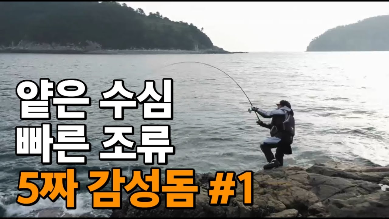 얕은 수심, 빠른 조류 그리고 5짜 감성돔 #1 by 박진철 프로
