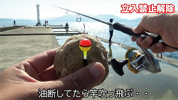 立入禁止解除された堤防で怪物もメタメタ釣れるこのやり方！油断してたら竿吹っ飛ぶよ