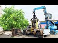 VrakoStrom - Stromek, který vyrostl z autovraku | Autovrakoviště MILATA