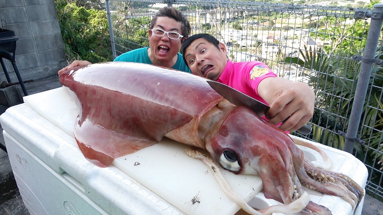 特大サイズ】20kgのイカを解体して丸焼きにします！ - YouTube