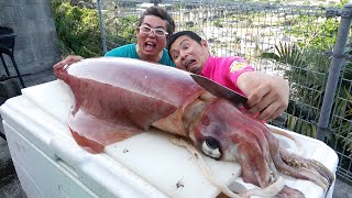 【特大サイズ】20kgのイカを解体して丸焼きにします！