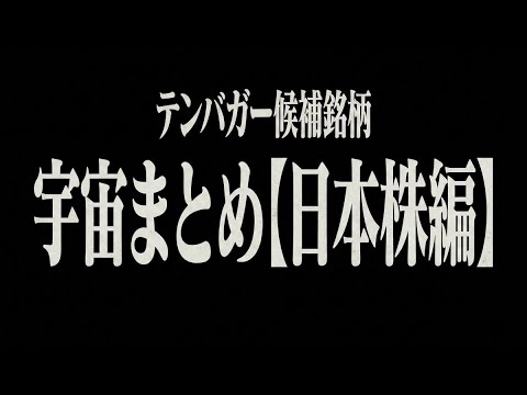 【テンバガー】これからの宇宙株リスト(後編)