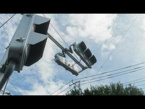 信号のカッコーのアレ