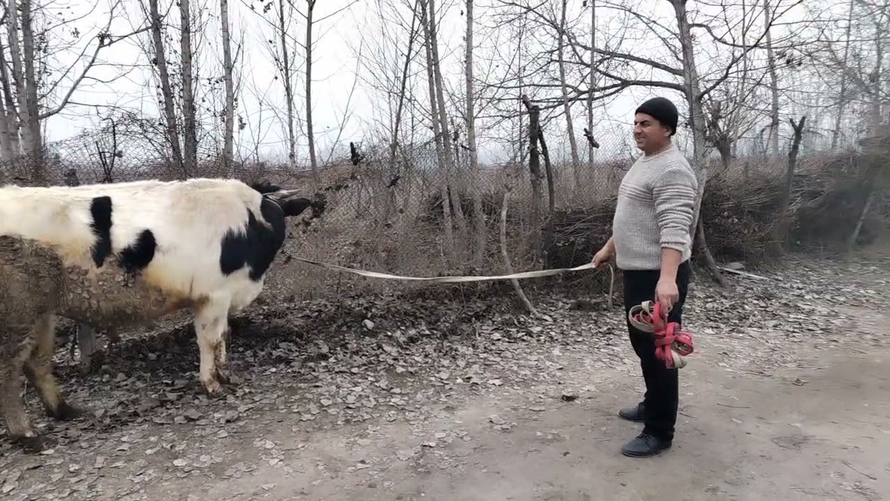 16 января 2026 г.