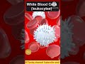 #Blood #Components of blood and their functions