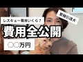 【お金全公開】繁殖引退プードルを個人レスキューしたらいくらかかった?