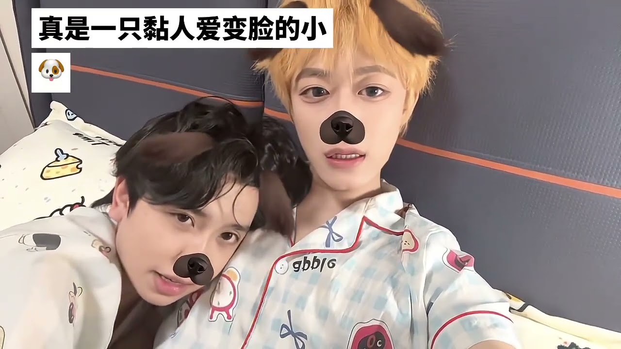 What a clingy and fickle puppy