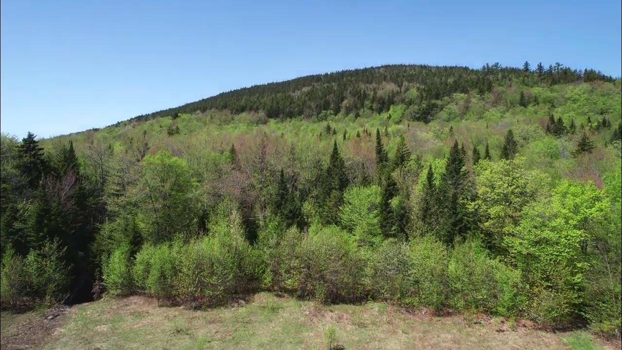 Mont SaintLouis, Beauport / SainteBrigittedeLaval YouTube