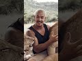 Part of the Lion Pride - Dean Schneider living with lions Mp3 Song