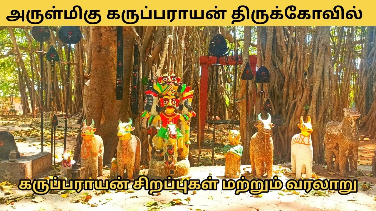 கருப்பராயன் திருக்கோயில் நாராயணசெட்டிபாளையம் | Karuparayan Temple | Karuparayan Kovil