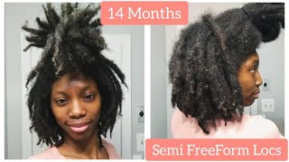 14 Month Loc Journey Update Thick Locs