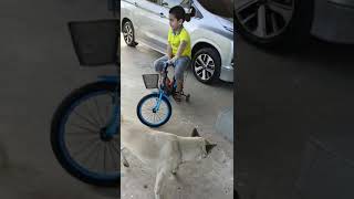 Boy On Wheels