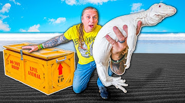 Rarest White Lizard In The World! $100,000 And I Just Bought It!