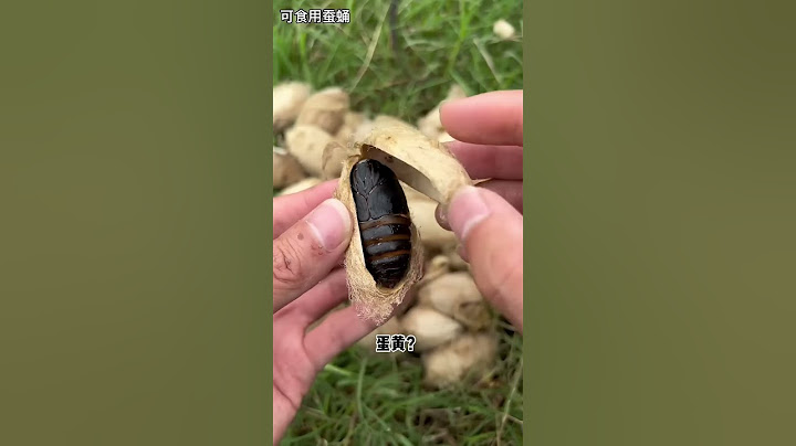 Hairy eggs| Chinese Mountain Forest Life and Food #Moo Tik Tok#FYP