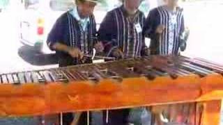 Honduran Musicians