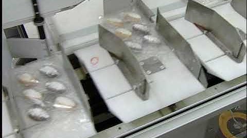 Paxon Packaging Automatic Continuous Motion Horizontal Cartoner