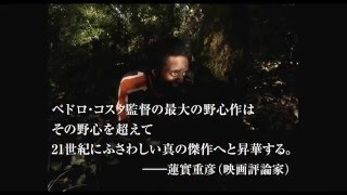 映画『ホース・マネー』予告編　ペドロ・コスタ