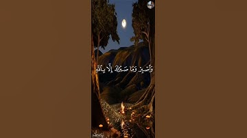 وَإِنۡ عَاقَبۡتُمۡ فَعَاقِبُواْ بِمِثۡلِ مَا عُوقِبۡتُم بِهِ - خالد الجليل [ سورة النحل,١٢٦-١٢٨ ]