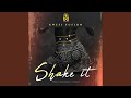 Shake It mp3