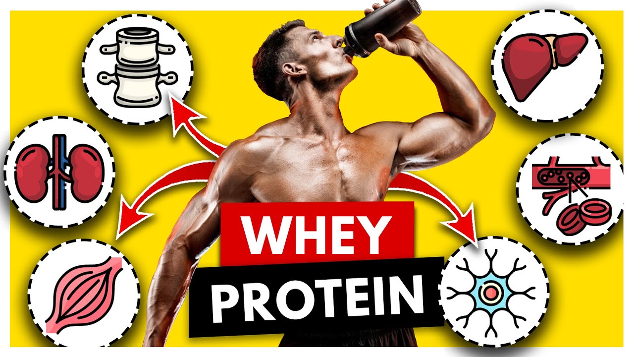 🩺Esto es lo que Ocurre en tu Organismo si tomas PROTEÍNA de SUERO a diario [Whey Protein]