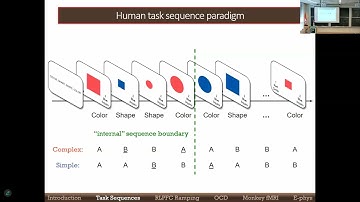 Cognitive Sequences: Parallel Cross-Species Dynamics in Frontal Cortex
