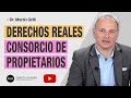 CONSORCIO DE PROPIETARIOS. ASAMBLEAS. NULIDADES.