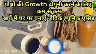 घर पर ही बनाएं जैविक Humic Acid। बनाना आसान पर काम असरदार। सभी पौधों में करे इस्तेमाल।#Humicacid